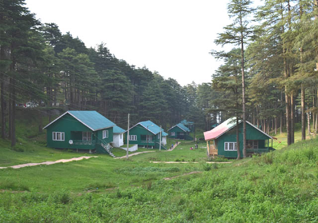 Tour Operator in Jammu